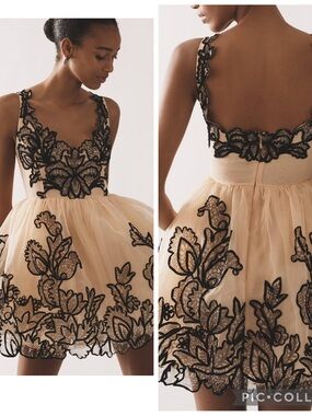Anthropologie Maeve Lace Appliqué Fit & Flare Blush Mini Dress Size 10 NWT